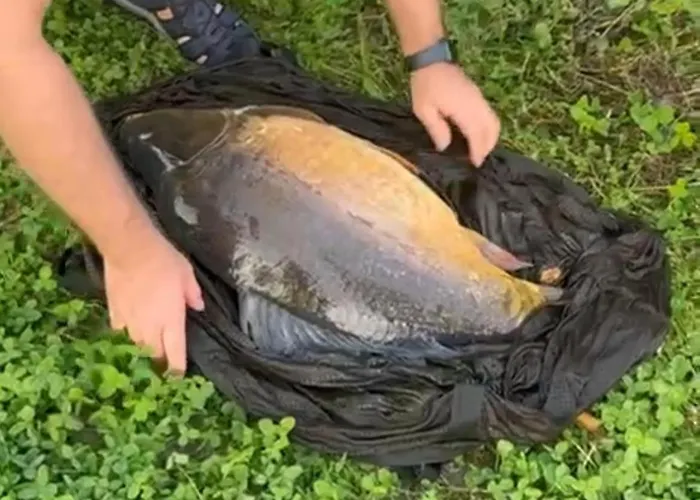 Przystanek Kistowko Komfortowe Z Jacuzzi, Staw Wedkarski, Kominek, Las, Przestrzen Tatil Evi Kistowo